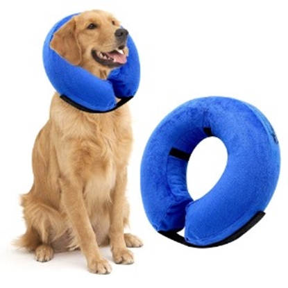 Picture of Recovery Inflatable Collar